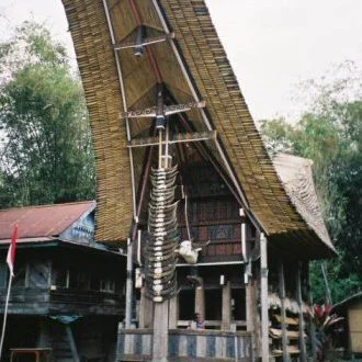 À la découverte du peuple Toraja