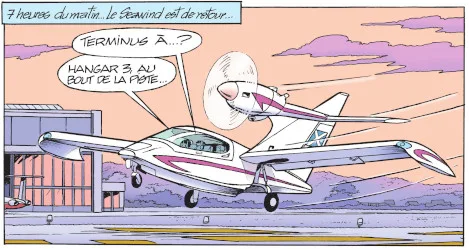 Seawind 3000