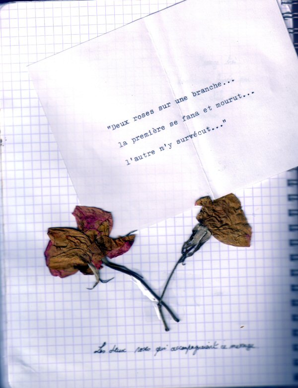 Page 10 - Carnet de voyage