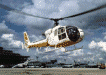 SA 341 Gazelle