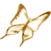 Cyann