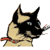 Takatso